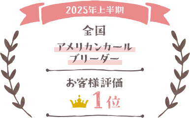 2025年上半期 全国 アメリカンカールブリーダー お客様評価1位