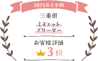 2025年上半期 三重県 ミヌエットブリーダー お客様評価3位